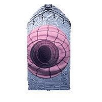 cape icon